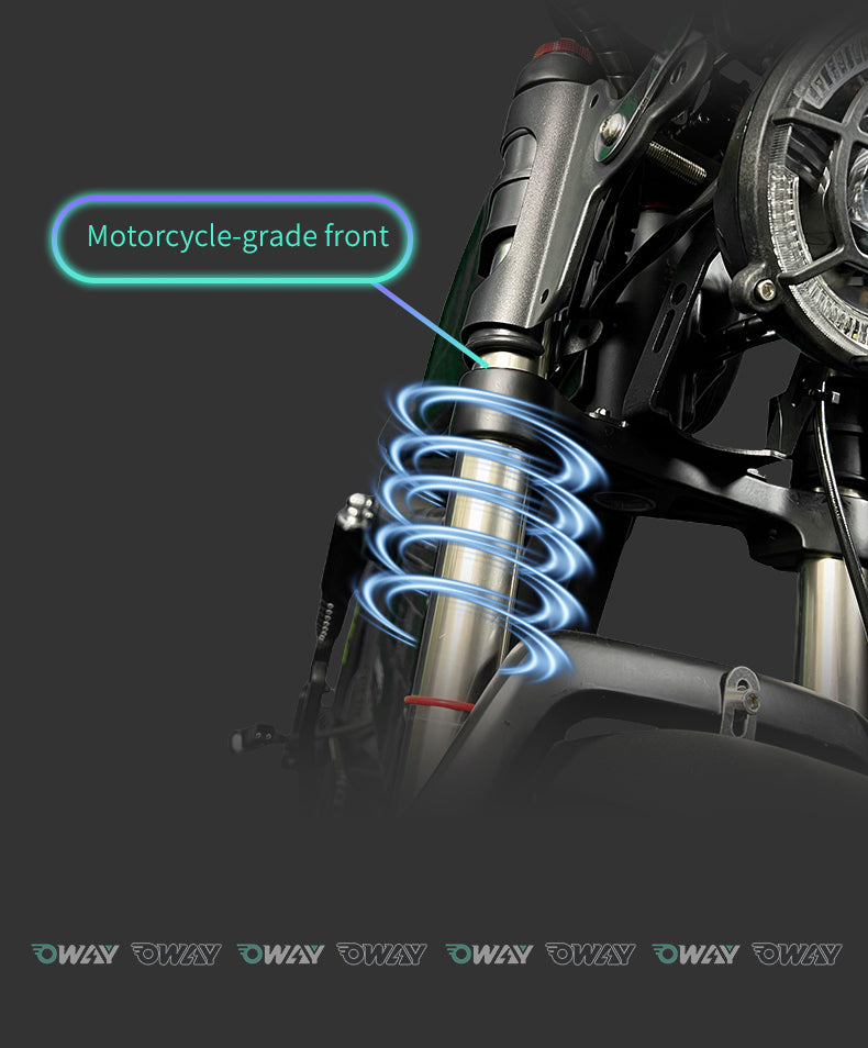 60V 50Ah Fat Tire E-Bike - Long Range, All-Weather Capable