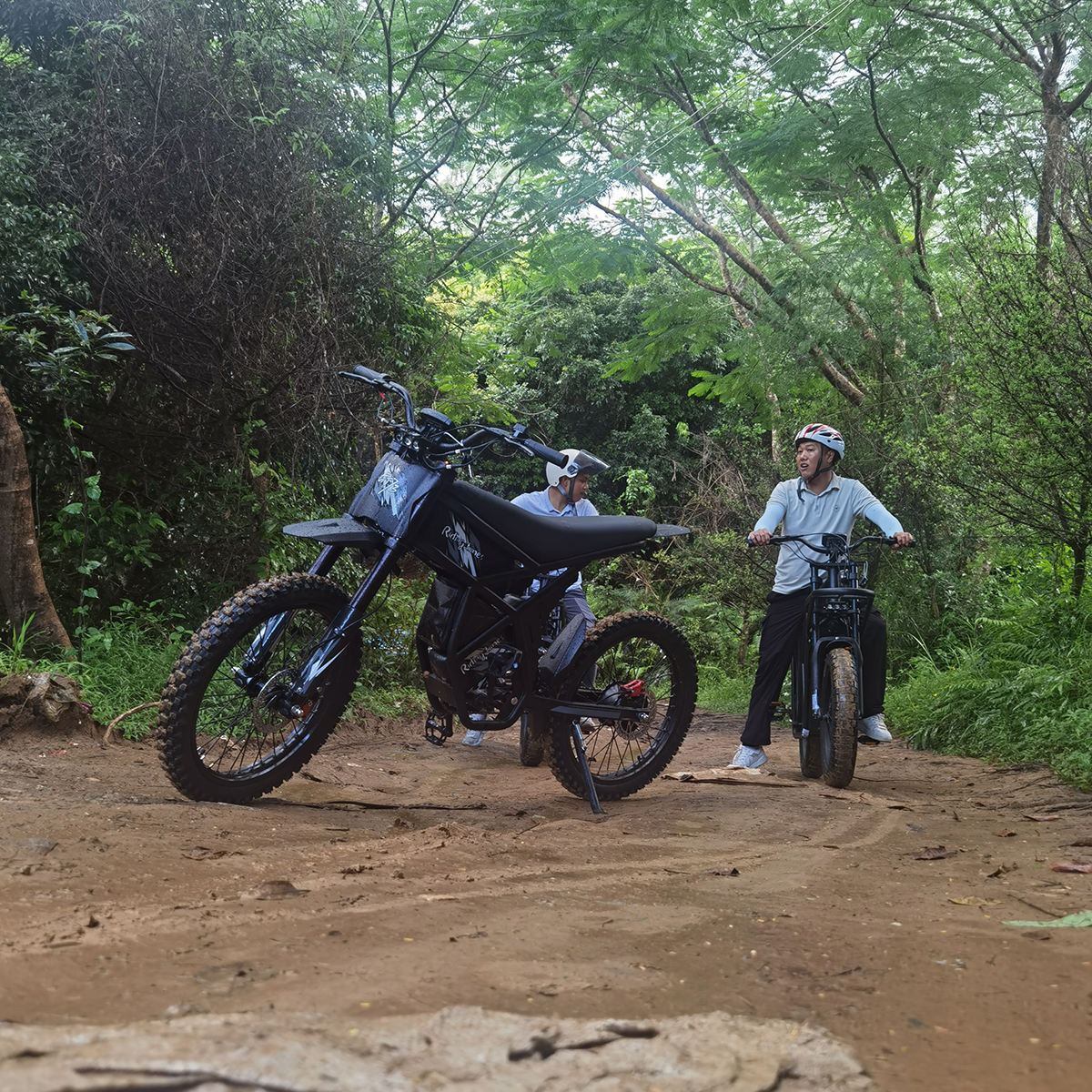 2000W Electric Fat Bike