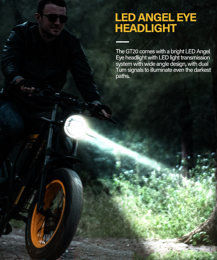 Dual Motor 3000W Electric Bike  Fat Tire Design with Dual Batteries