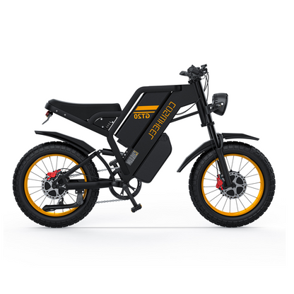 Dual Motor 3000W Electric Bike  Fat Tire Design with Dual Batteries