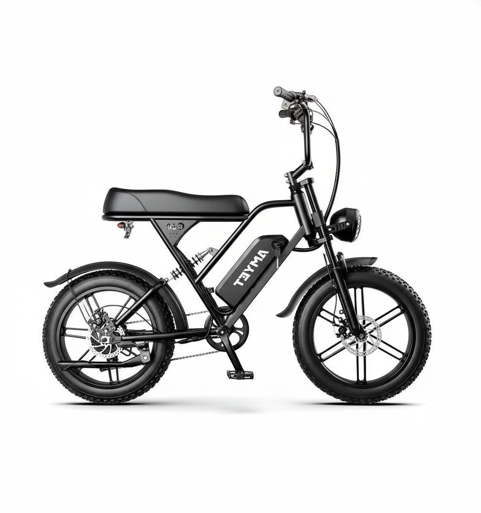 Electric Bike 1000w 20inch Fat Tire E-bike 1000w Urban Electric Bicycle Adult Fat bike