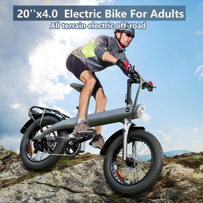 48V 750W Mountain E-Bike: 20" All-Terrain Fat Tire Design