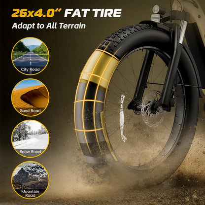 750W 26" Fat Tire Urban E-Bike - 48V 20Ah Battery for Adults
