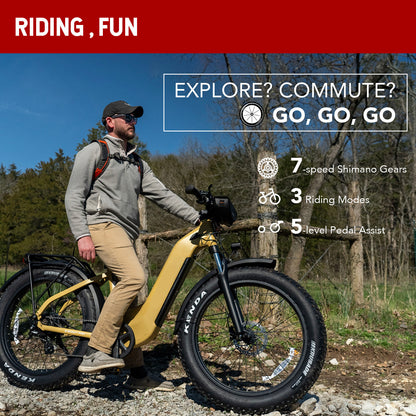 750W 26" Fat Tire Urban E-Bike - 48V 20Ah Battery for Adults