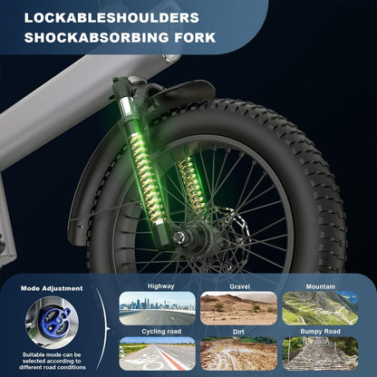 48V 750W Mountain E-Bike: 20" All-Terrain Fat Tire Design