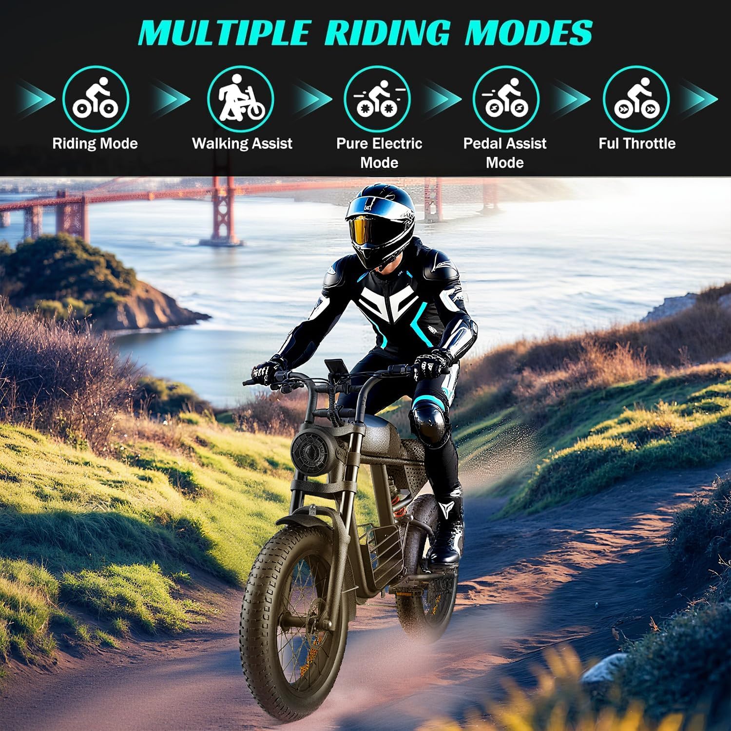 52V Fat Tire Mountain E-Bike - Dual Suspension, Hydraulic Disc Brakes