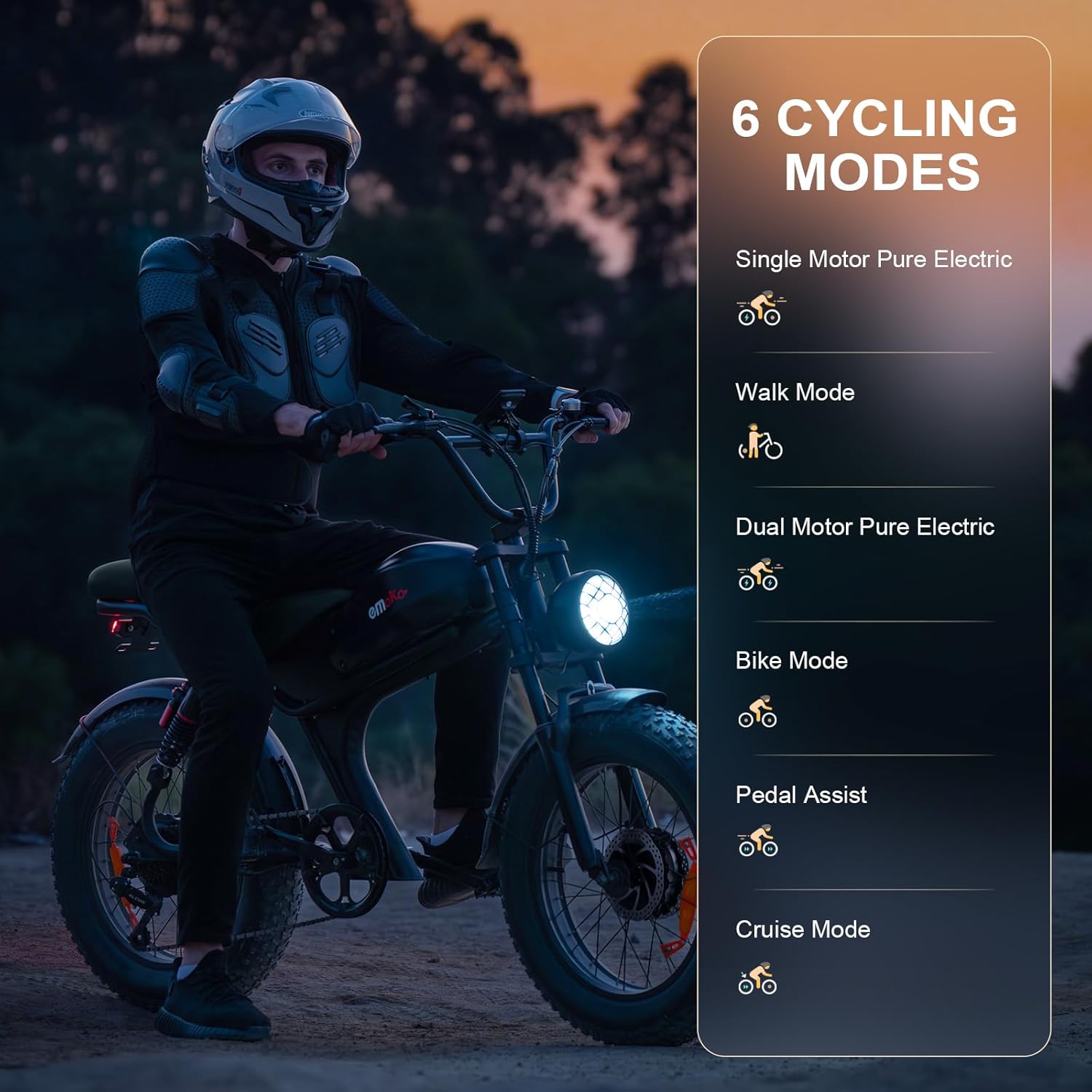 E-BIKE Electric 2000W Motor Power Bike Adult