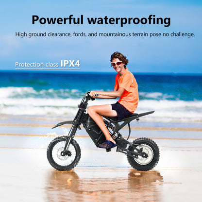 3000W 45MPH Electric Mountain Bike - 60V Removable Battery & Dual Hydraulic Brakes